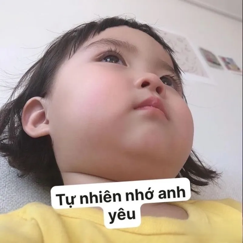 Hổng có biết hổng có nhớ meme thật vui nhộn