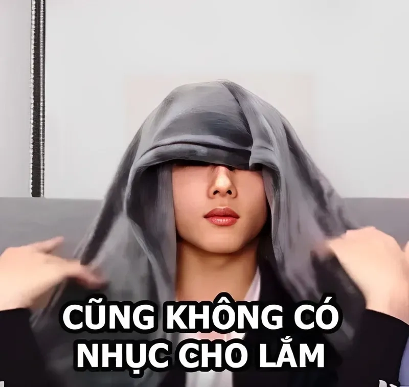 Meme mèo ngại sẽ làm tan chảy trái tim bạn