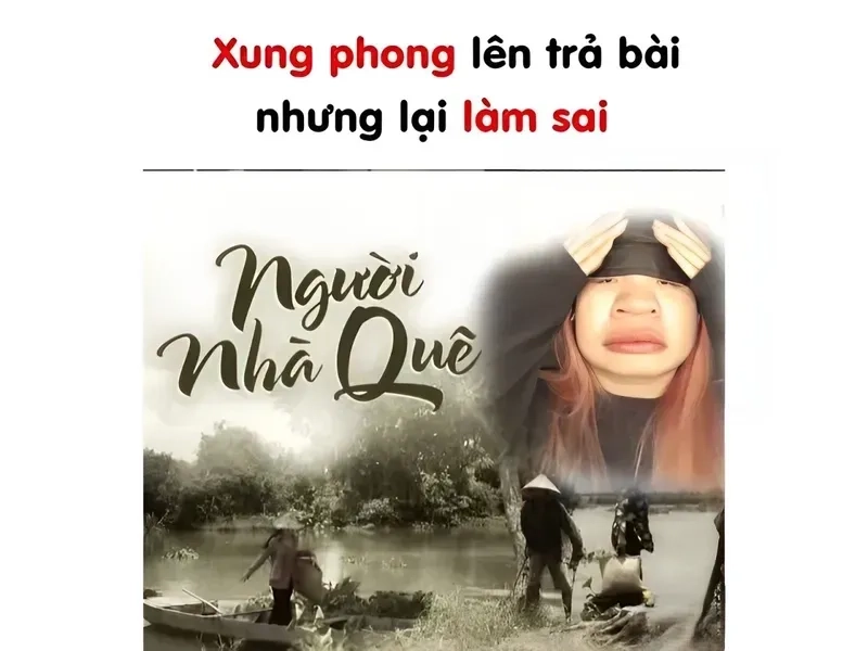 Meme mèo ngại ngùng sẽ khiến bạn không thể nhịn cười