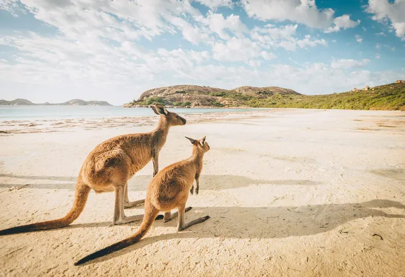 Khám phá Australia quốc gia hàng đầu thế giới