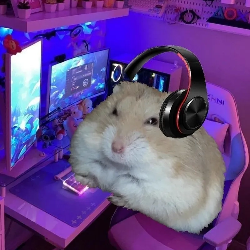 Hamster meme sad khiến bạn không thể nhịn cười với sự đáng yêu