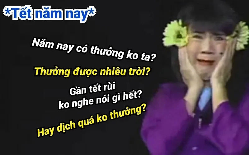 Meme tết 2024 mang lại sự mới mẻ cho mùa xuân năm nay