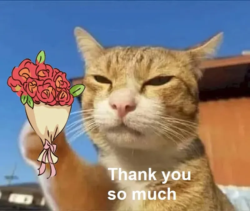 Meme thank you for listening thể hiện lòng biết ơn một cách hài hước