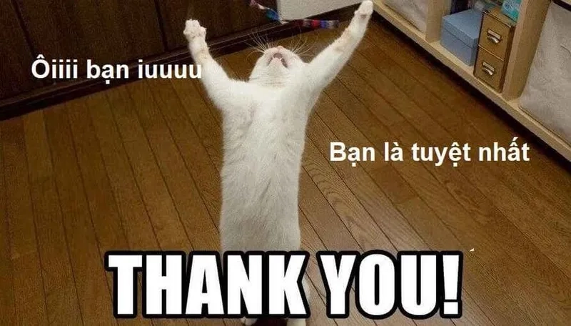 Crying thank you meme thể hiện nỗi buồn một cách hài hước