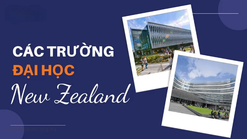 Trường đại học ở New Zealand có chất lượng hàng đầu