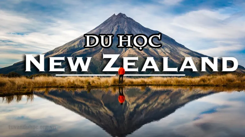 Học tập tại trường đại học ở New Zealand là trải nghiệm tuyệt vời