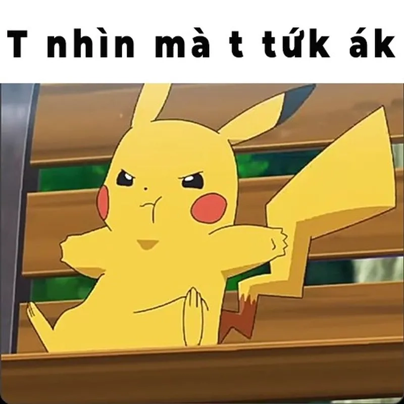 Mèo giận meme là biểu tượng của sự tức giận dễ thương