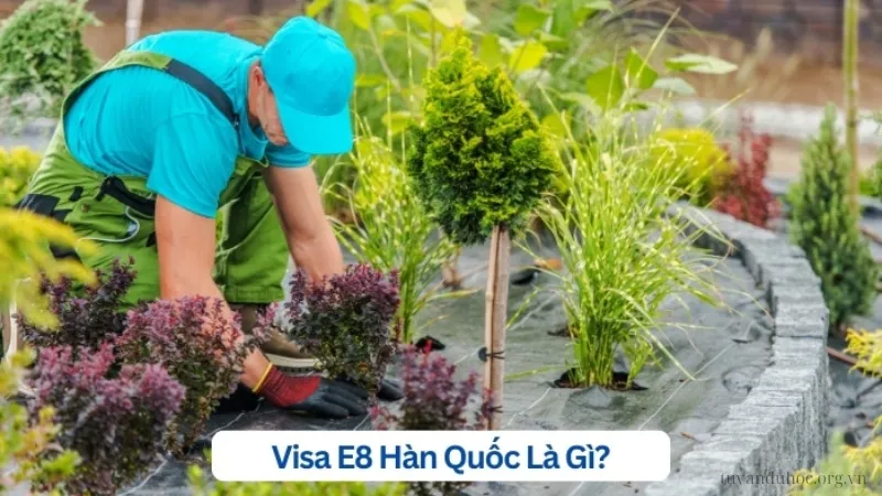 Visa E8 Hàn Quốc là loại visa lao động đặc biệt dành cho những người có kỹ năng chuyên môn