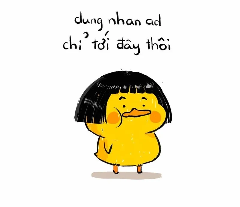 Ảnh con vịt meme dễ thương cho không khí vui vẻ