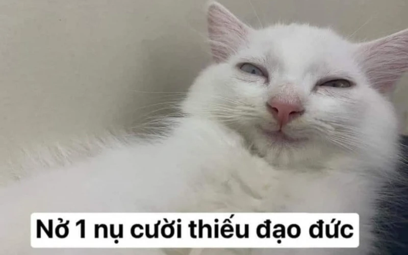 Meme đùa ko vui mang lại những giây phút thú vị