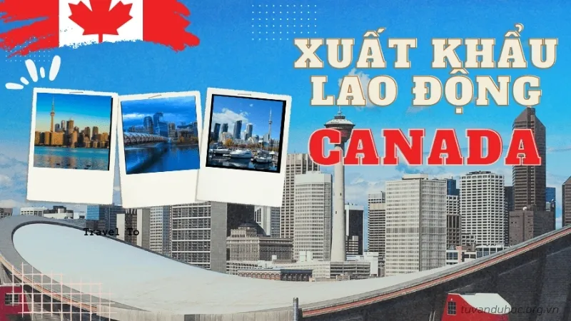 Xuất khẩu lao động Canada đã trở thành lựa chọn hàng đầu cho nhiều người lao động