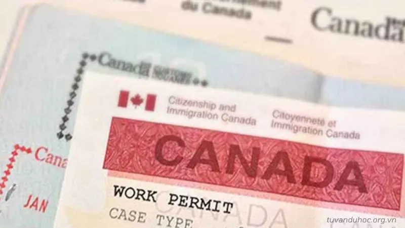 Các loại giấy phép làm việc tại Canada