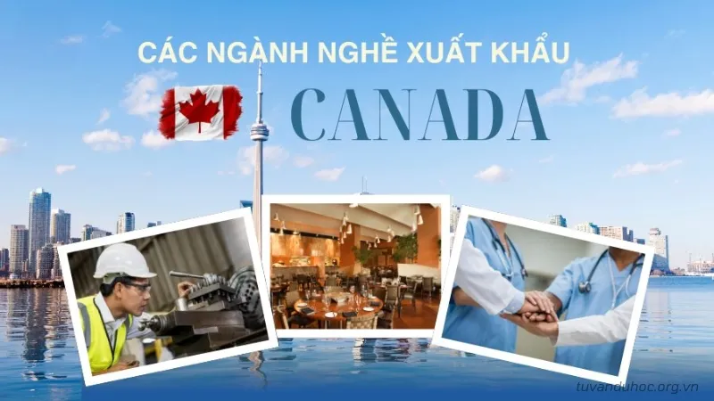 Các ngành nghề xuất khẩu lao động Canada