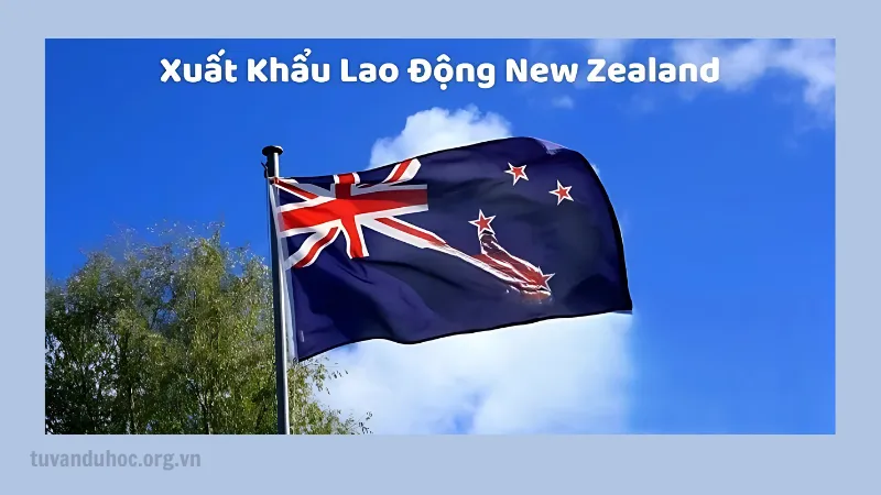 XKLĐ New Zealand mở rộng tương lai