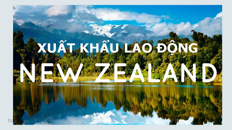 Tìm hiểu quy trình xuất khẩu lao động New Zealand chi tiết