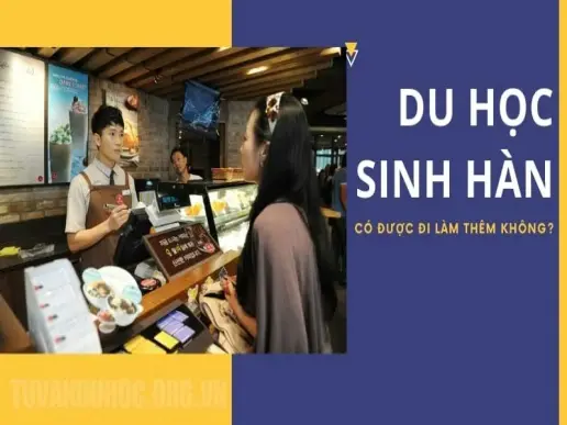 Quy định mới nhất về số giờ làm thêm của du học sinh Hàn Quốc