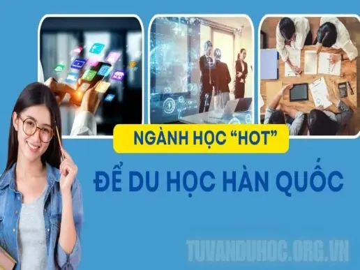 Đi du học Hàn Quốc nên chọn ngành học gì để ra trường dễ xin việc