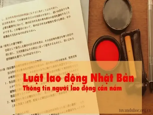 Luật lao động Nhật Bản - Quyền lợi và nghĩa vụ của người lao động