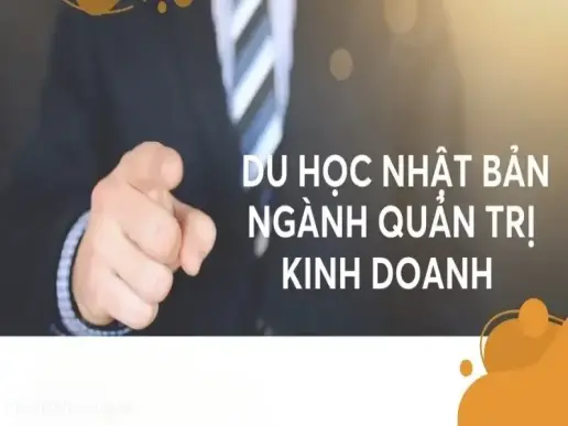 Mức lương ngành Quản trị kinh doanh ở Nhật hiện nay thế nào?