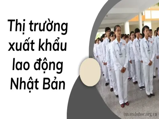 Tổng quan về thị trường xuất khẩu lao động Nhật Bản