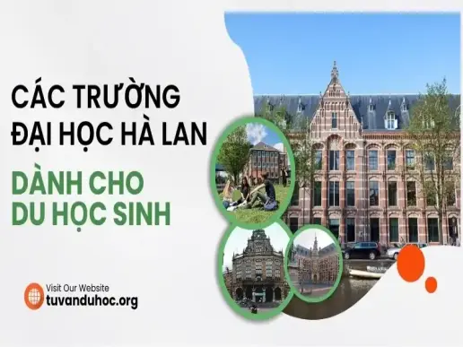 Các trường đại học Hà Lan nổi tiếng dành cho du học sinh