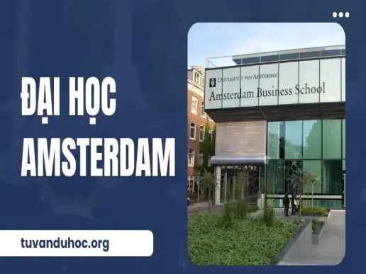 Đại học Amsterdam - Cơ hội phát triển nghề nghiệp toàn cầu