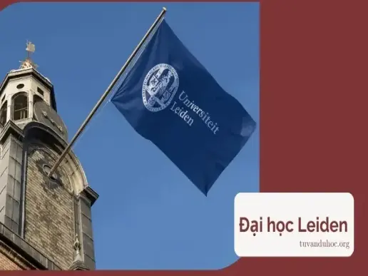 Đại học Leiden - Trường đại học danh tiếng hàng đầu Hà Lan