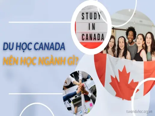 Du học Canada nên học ngành gì? Top ngành học hot nhất