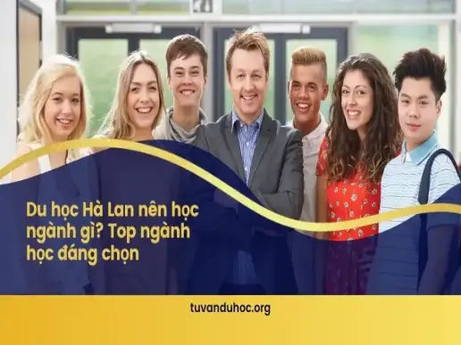 Du học Hà Lan nên học ngành gì? Top ngành học đáng chọn