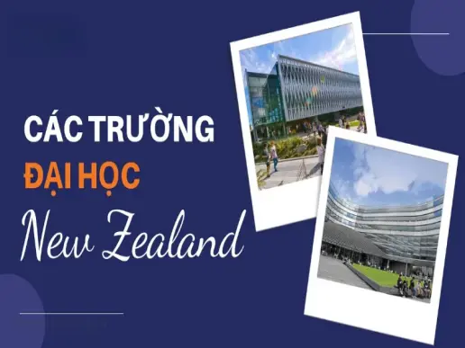 Top 5 trường đại học ở New Zealand tốt nhất cho du học sinh