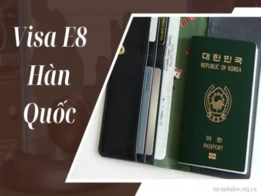 Visa E8 Hàn Quốc là gì? Tất tần tật thông tin bạn cần biết