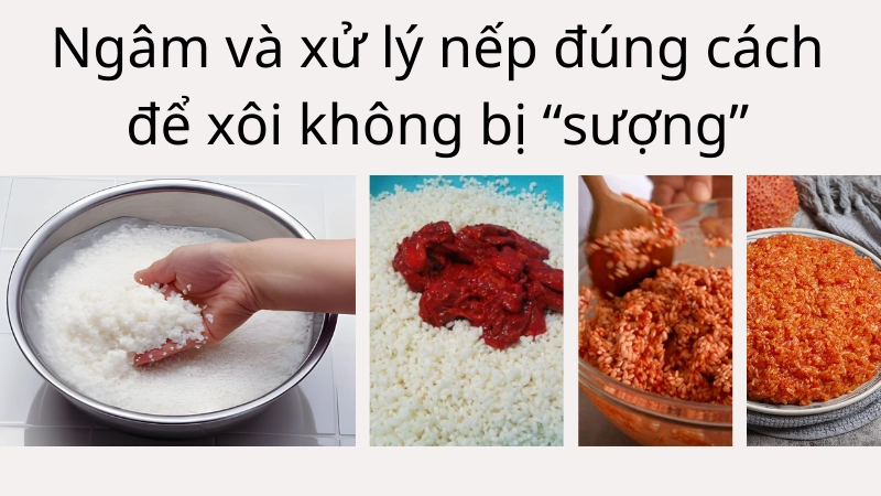 Ngâm và xử lý nếp đúng cách để xôi không bị “sượng”