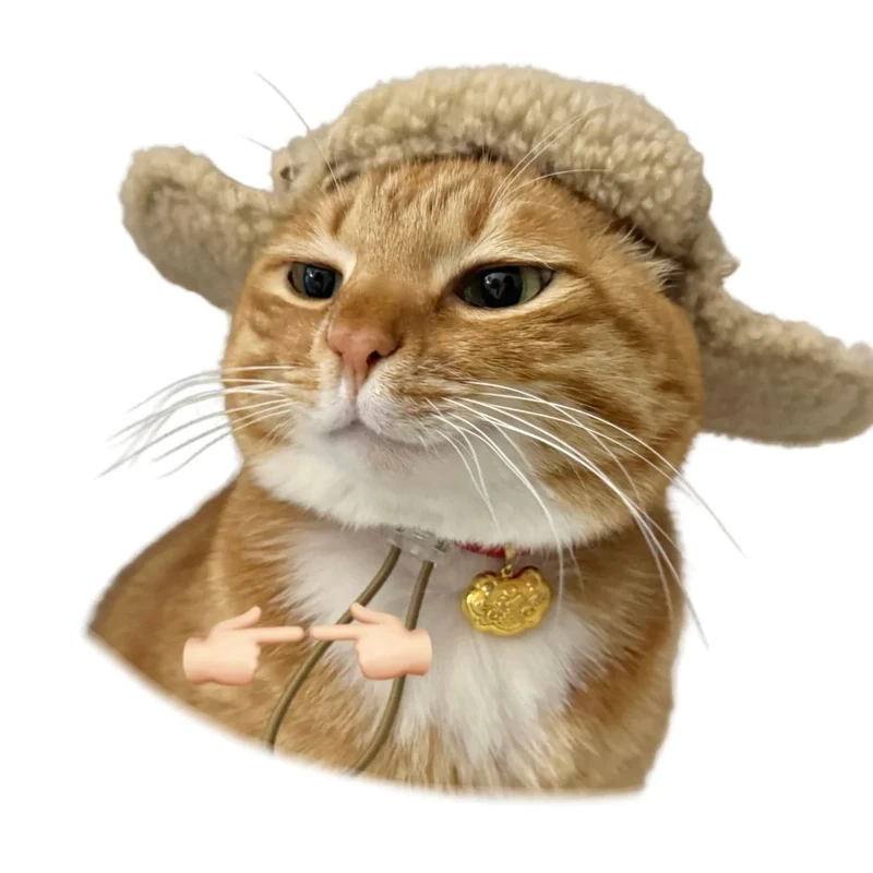 Loạt ảnh meme mèo vô tri biểu cảm trống rỗng nhưng cực hài