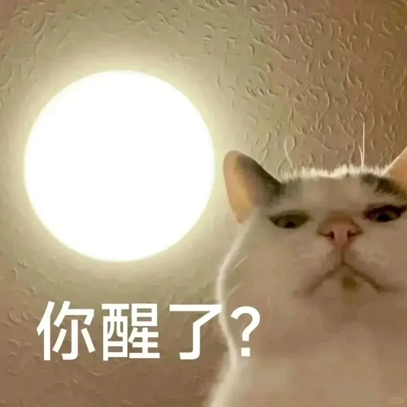 Tuyển chọn meme mèo vô tri đúng chuẩn “không cảm xúc”