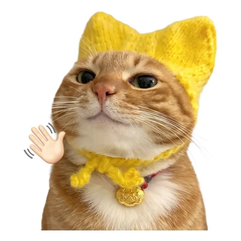 Bộ meme avatar vô tri mèo hợp làm ảnh đại diện