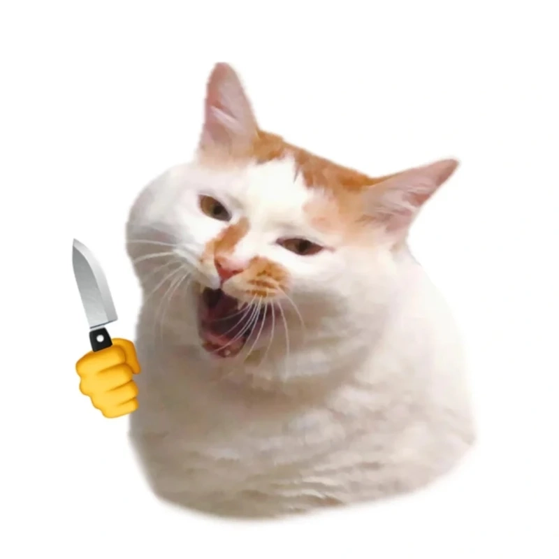 Tổng hợp hình ảnh meme mèo vô tri đang viral