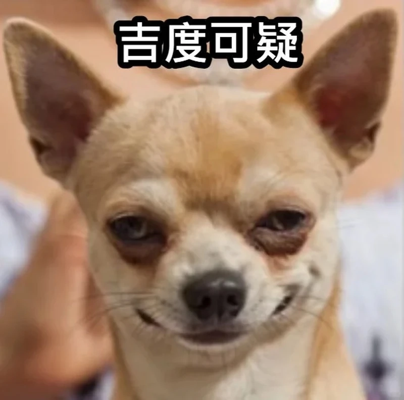 Phiên bản dễ thương của brown chihuahua meme