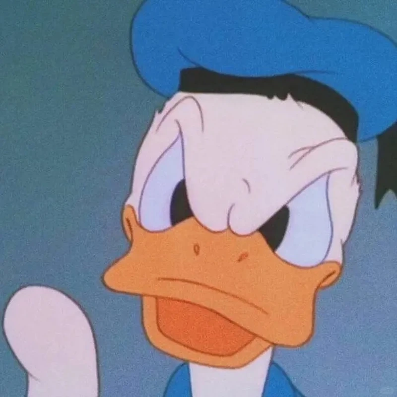 Những hình ảnh xoay quanh vịt Donald vịt Donald