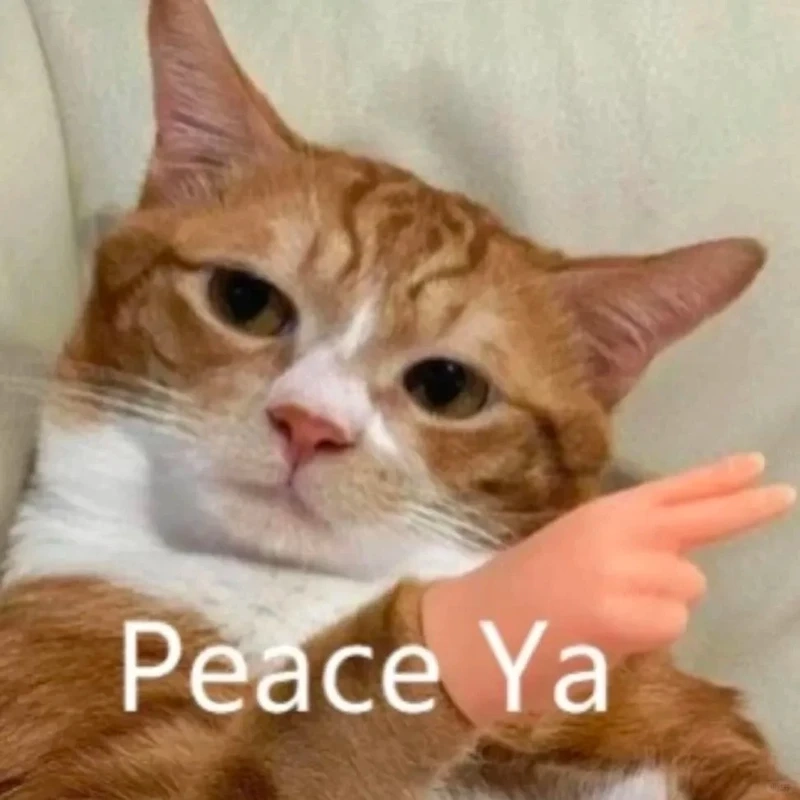 Cười nhẹ với vô tri mèo meme nhưng rất thấm