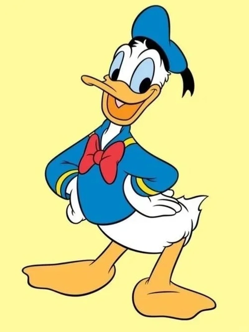 Thời trang in hình áo vịt Donald được giới trẻ yêu thích