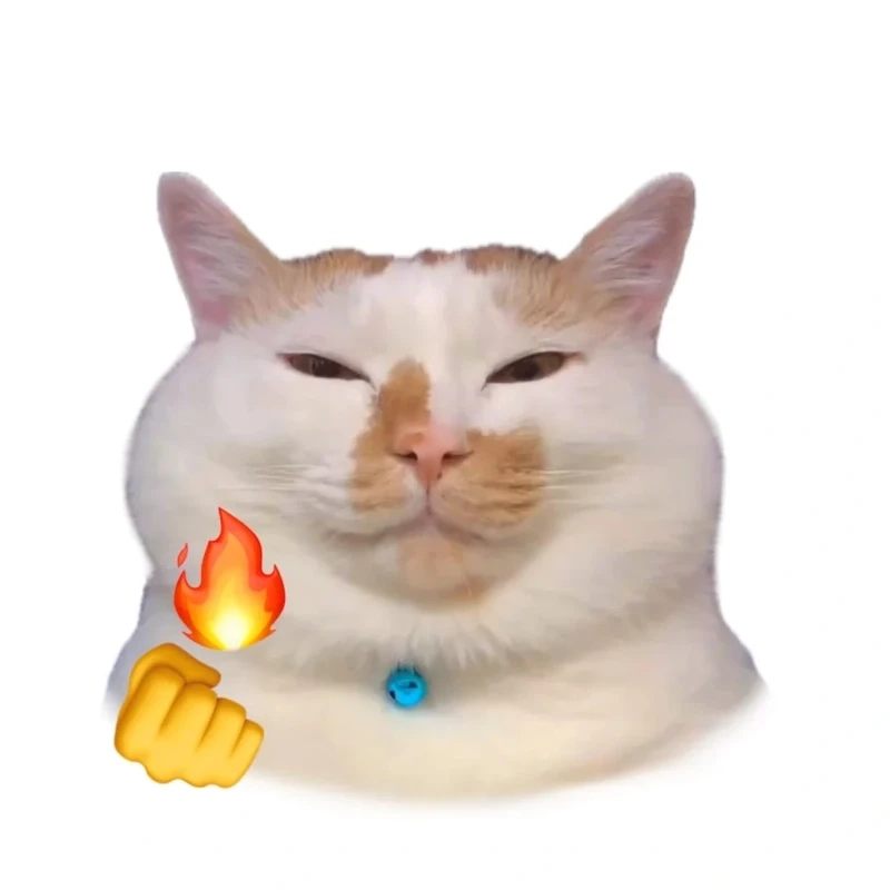 Dễ thương pha mặn với ảnh meme cute mèo vô tri