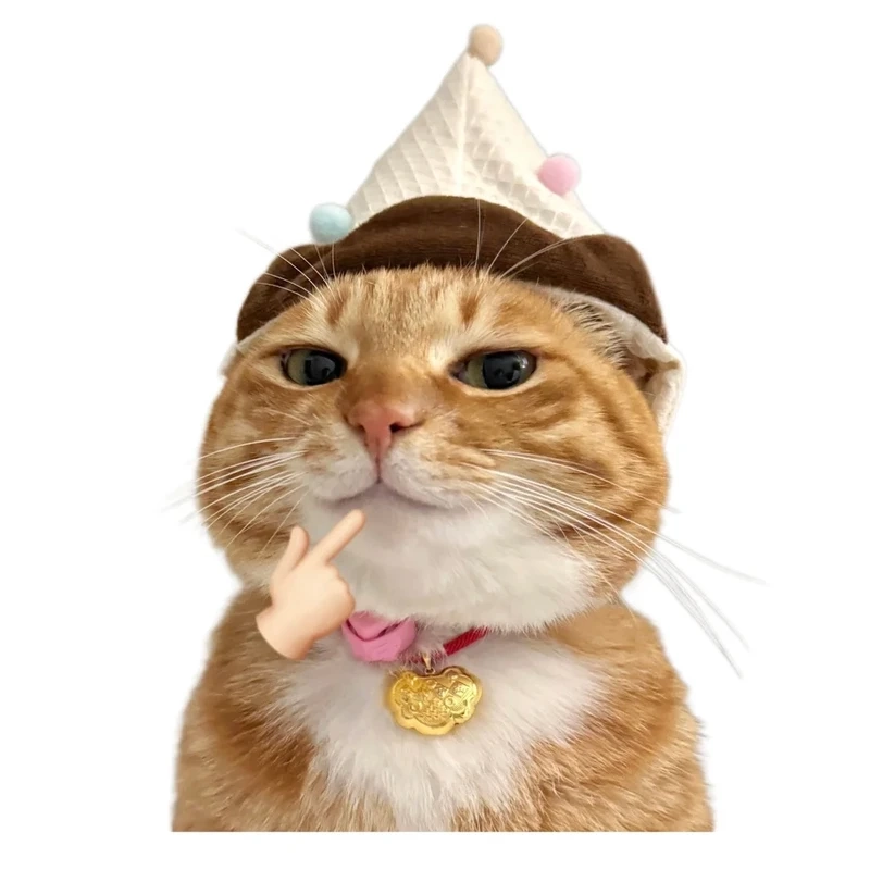 Bộ avatar ảnh meme avatar vô tri mèo cho dân nghiện meme