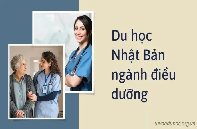 Tại sao nên chọn du học Nhật Bản ngành điều dưỡng?