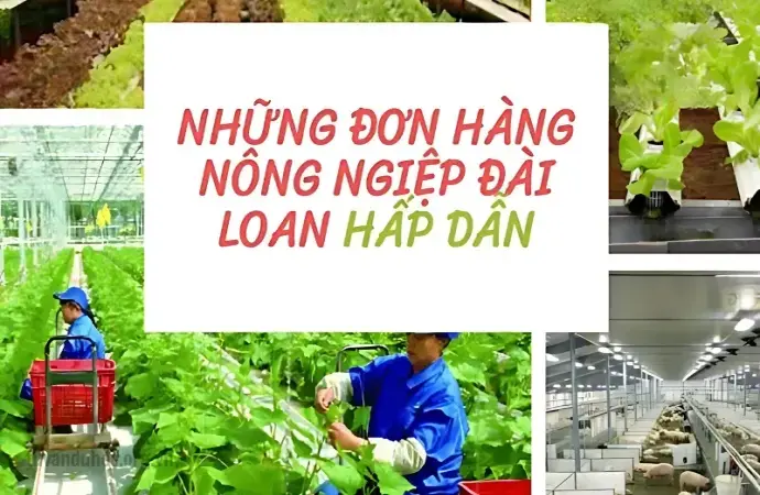 Những điều bạn cần biết khi làm nông nghiệp ở Đài Loan