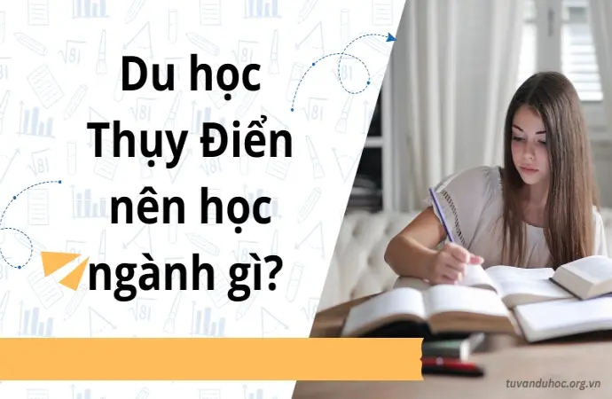 Du học Thụy Điển nên học ngành gì? Bí quyết chọn ngành đúng đắn