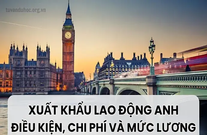 Xuất khẩu lao động Anh - Điều kiện, chi phí, và mức lương mới