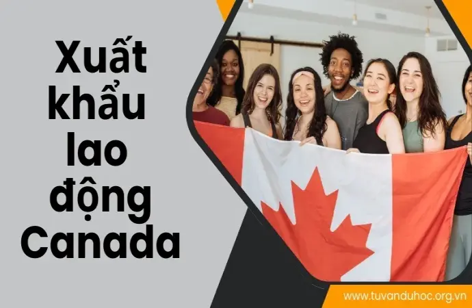 Xuất khẩu lao động Canada - Điều kiện và thủ tục cần thiết