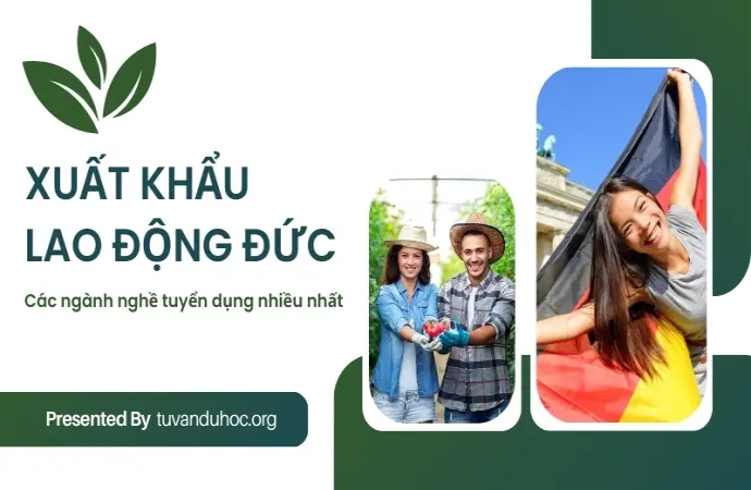 Xuất khẩu lao động Đức - Các ngành nghề tuyển dụng nhiều nhất