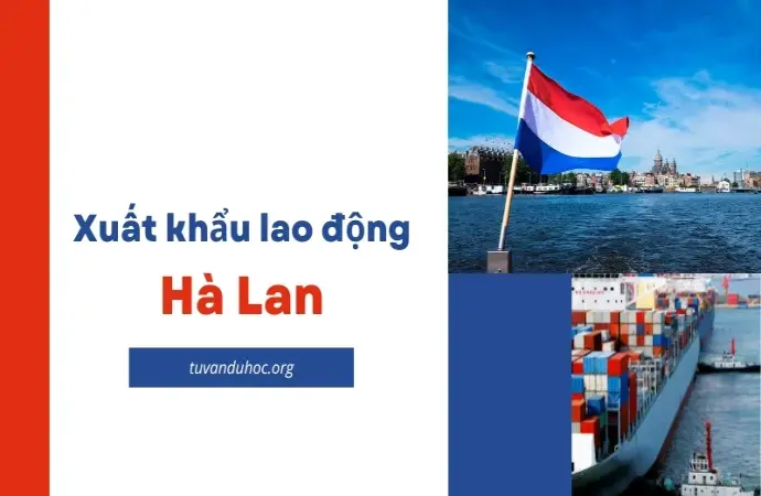 Có nên xuất khẩu lao động Hà Lan? Các lý do đáng cân nhắc