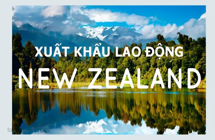 Tìm hiểu quy trình xuất khẩu lao động New Zealand chi tiết